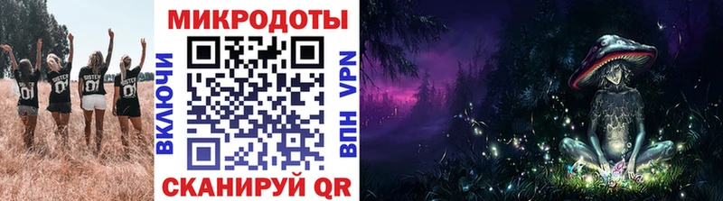 сколько стоит  Невель  Псилоцибиновые грибы Psilocybine cubensis 